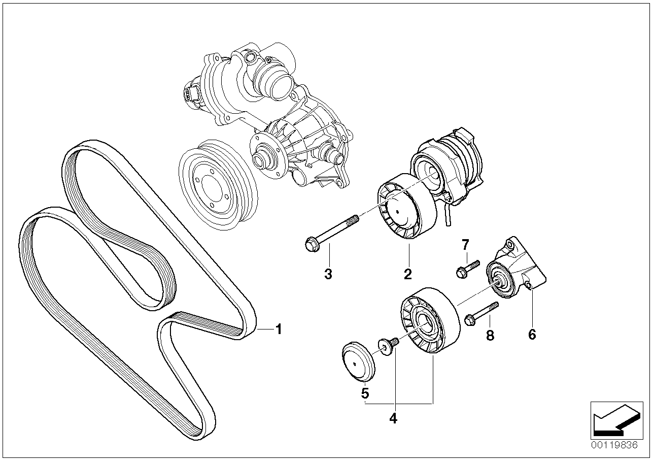 Riementrieb für Wasserpumpe/Generator