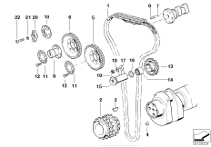 Timing and valve train-timing chain