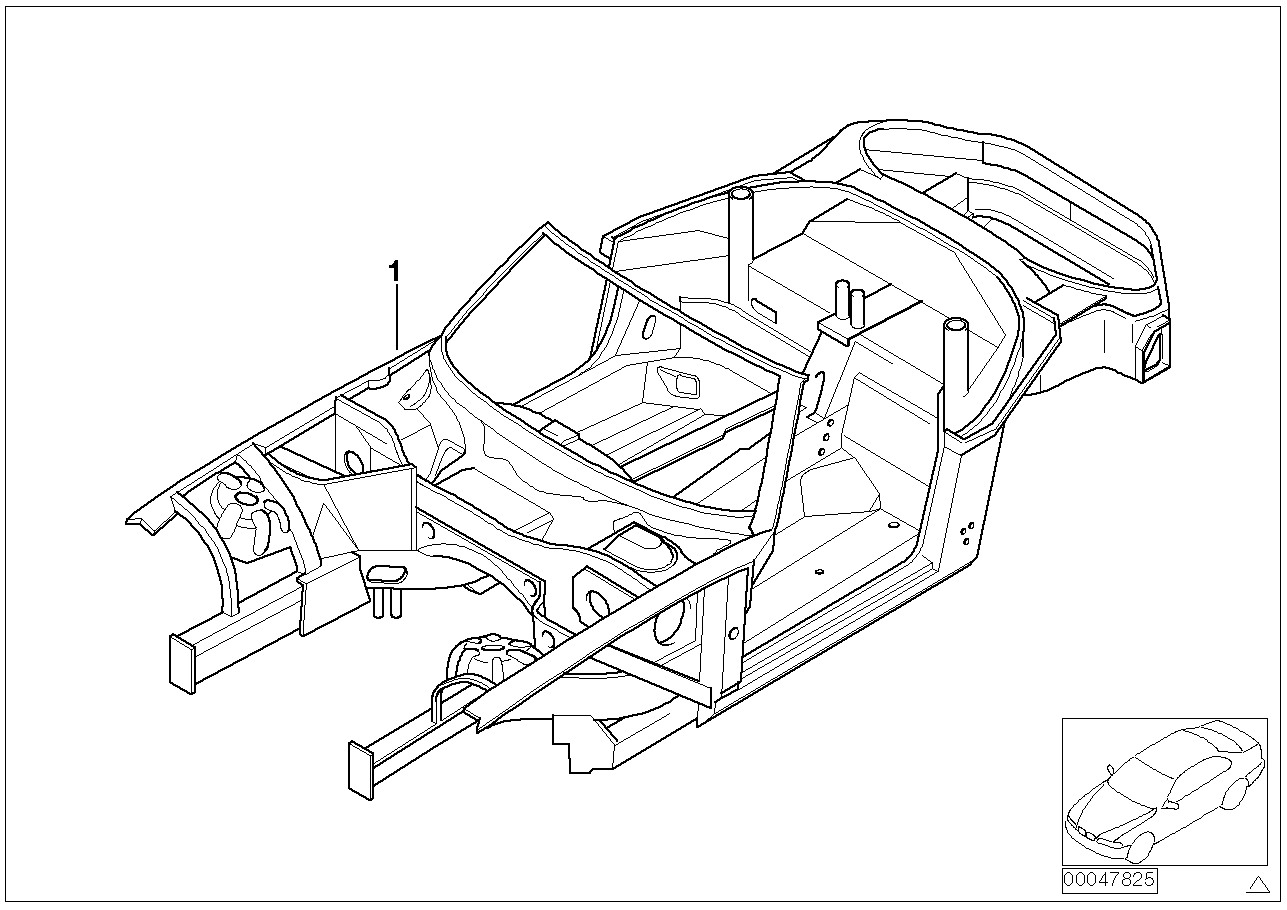 Body skeleton