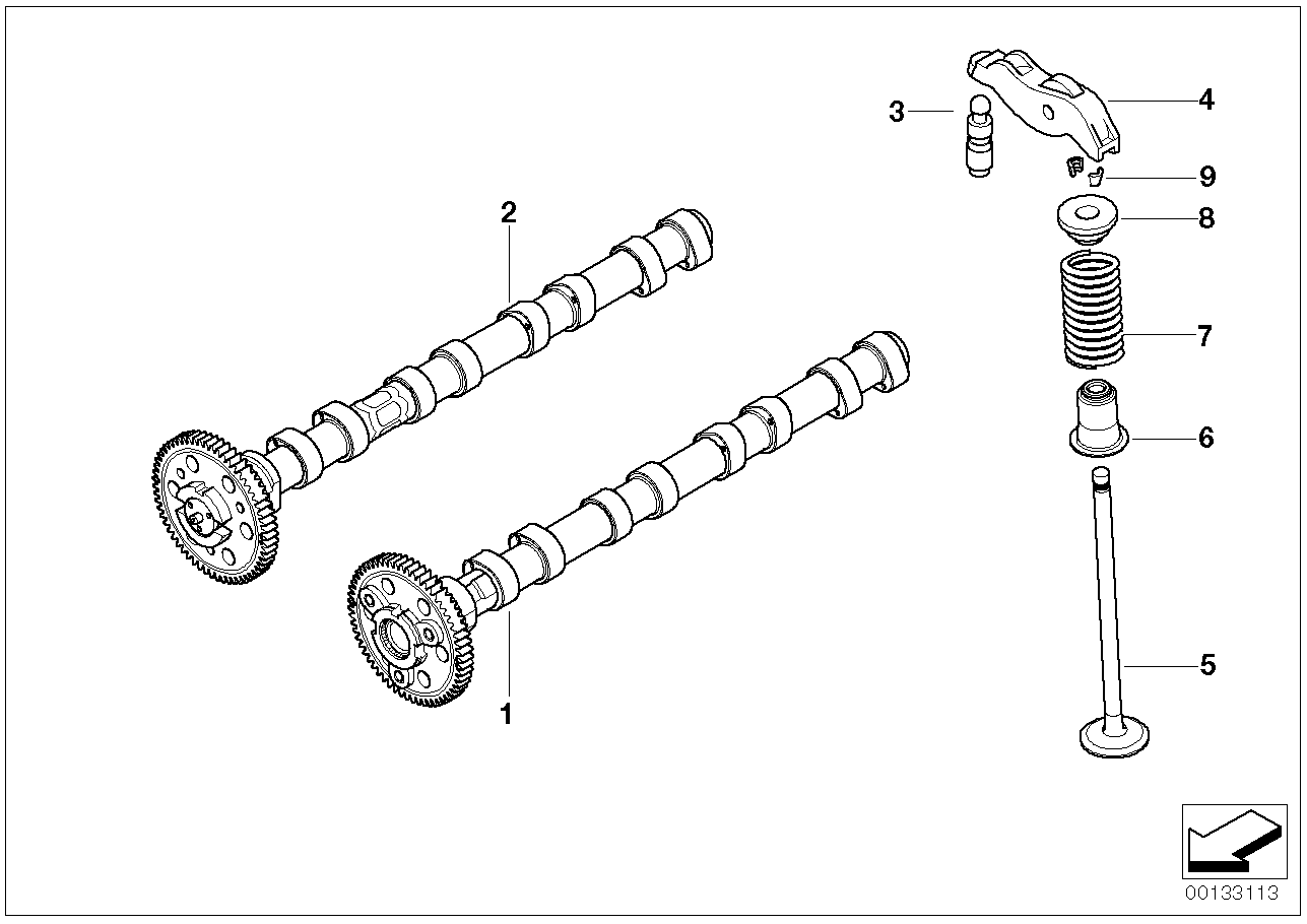 Comando delle valvole-albero a camme