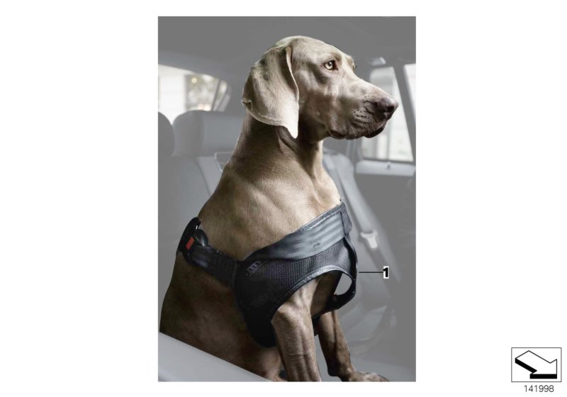 Dog harness