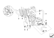 Radiator hoses/temperature sensor