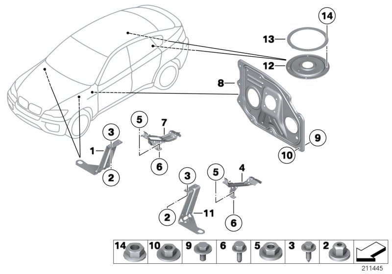 Various body parts