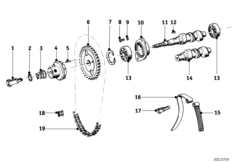 Camshaft, camshaft gear, timing chain