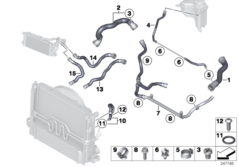 Cooling System Water Hoses