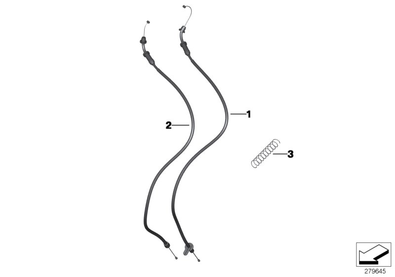 Cavetti acceleratore