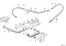 Cooling System Water Hoses