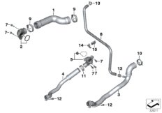 Cooling system coolant hoses