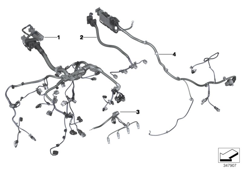 Engine wiring harness