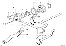 Cooling system-thermostat/water hoses