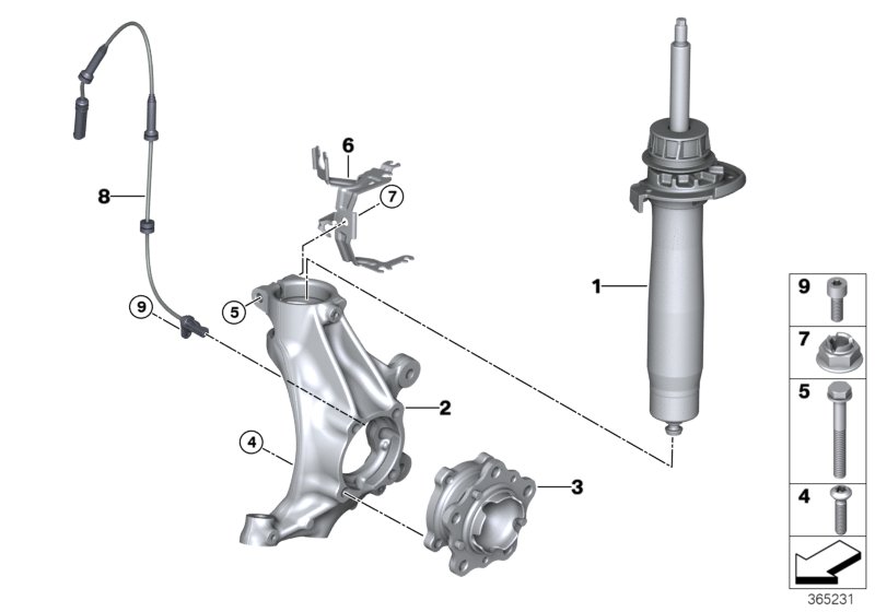 Front Spring strut/Carrier/Wheel bearing