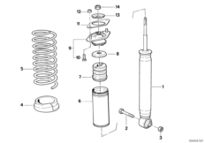 Rear spring strut coil spring and parts