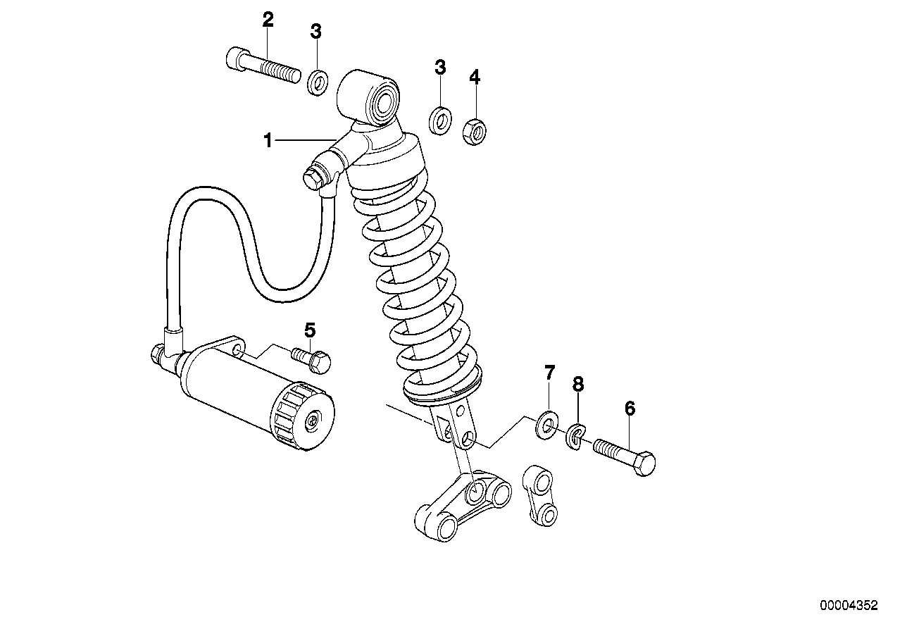 Federbein hinten