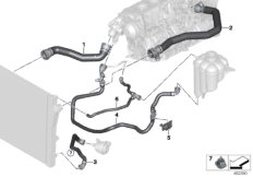 Cooling system coolant hoses