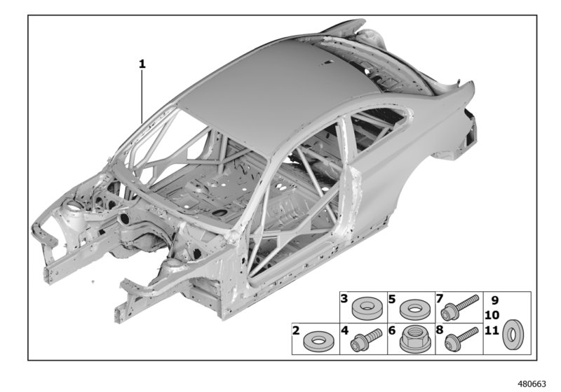 Body skeleton