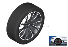 BMW LA wheel M Perf. double spoke 669M