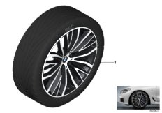 BMW lichtmetalen wiel V-spaak 687 - 21"