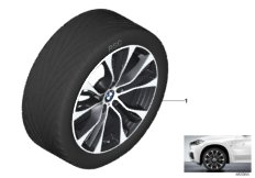 BMW LA wheel M Perf. double spoke 599M