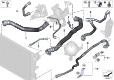 Cooling system coolant hoses