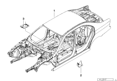 Body skeleton