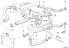 Cooling System Water Hoses