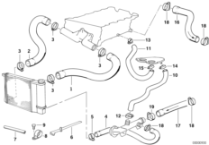 Cooling System Water Hoses