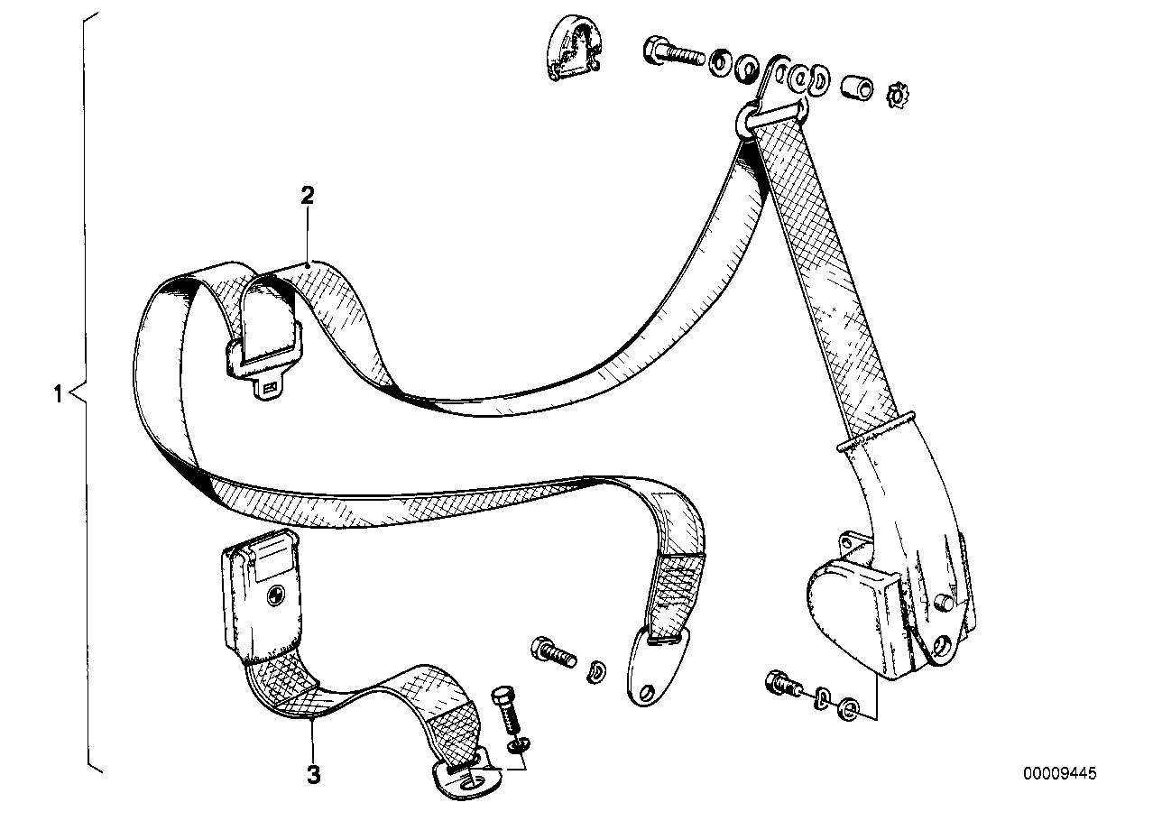 Safety belt rear